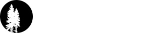 Site Logo Footer